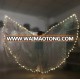 BestDance LED Angel Isis Wings Belly Dance Costume Festival Club Light Up Show Fancy Wings Costumes